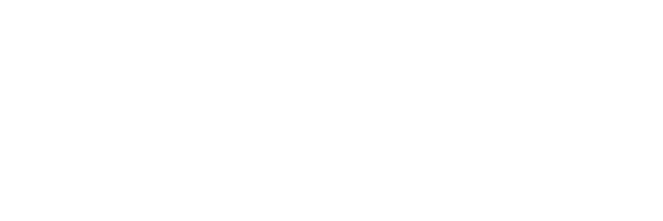 FB Guitars Logo
